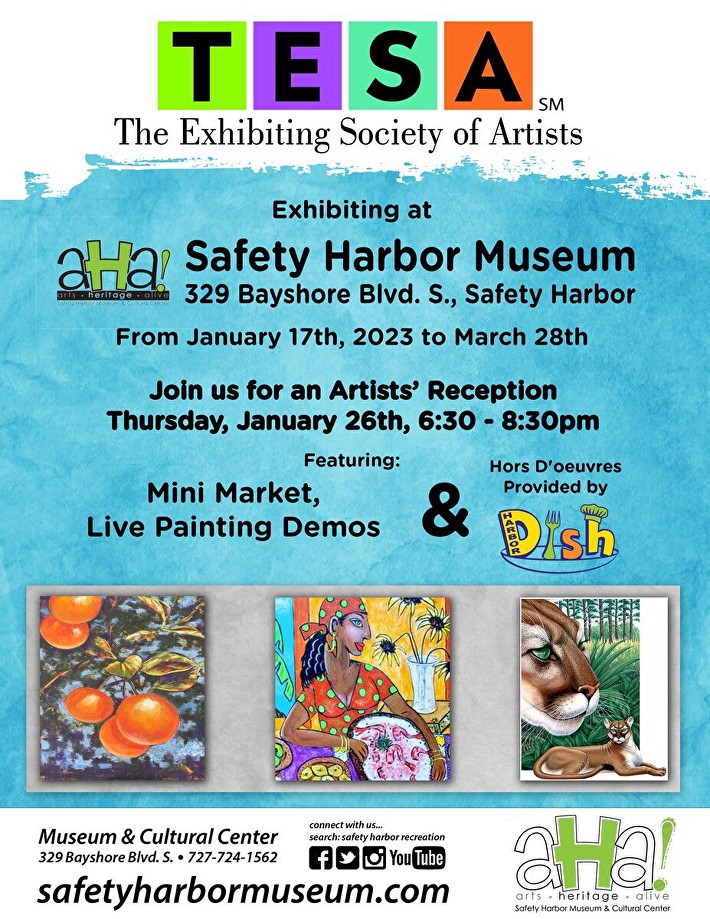 Logo Contest Flyer - Safety Harbor Connect