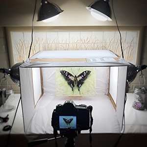 A Lightbox & Accessory Recommendations for Photographing Small Paintings