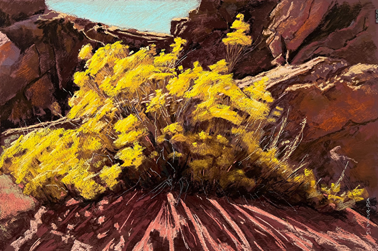 Arizona Pastel Artists Association - HOME