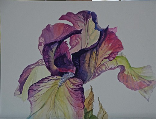 Bonnie Brahms - Portfolio of Works: Floral Escapes