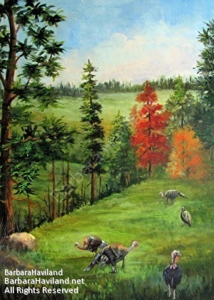 #turkey, #turkey's ,#montana, #shadow,#yard,#BarbaraHavilandFineArt.com