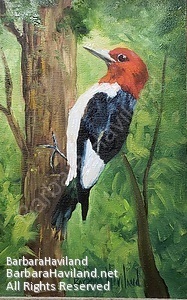 #Red-Headed,Woodpecker,bird, oil painting,#BarbaraHavilandFineArt.com