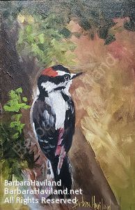 #woodpecker,#downy, 12x8, oil painting,#BarbaraHavilandFineArt.com