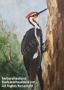 #woodpecker,#pileated,#oilpainting,#BarbaraHavilandFineArt.com