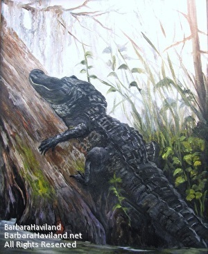 #Gator in Tree,# Alligator,# Barbara Haviland,#BarbaraHavilandFineArt.com