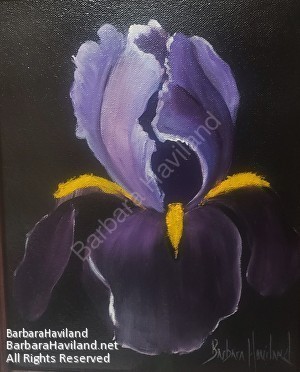 #bearded Iris,#flower, #purple,#oilpainting,#original, #BarbaraHaviland.net