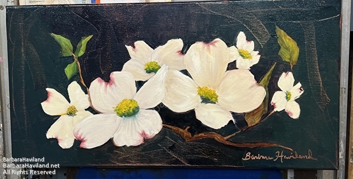 #dogwoods,#flowers,#oil painting,#flora,#OriginalOil,#BarbaraHavilandFineArt.com
