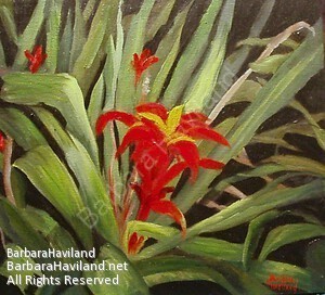 #bromelaid,#flower,#red,#oil,#BarbaraHavilandFineArt.com,#Texas Artist