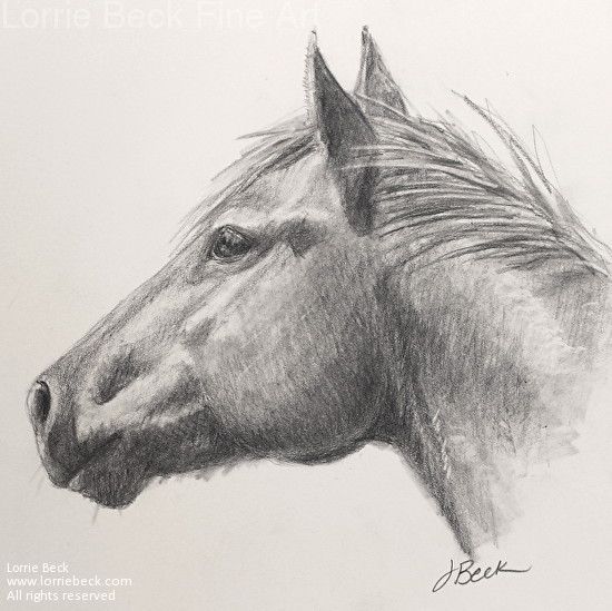 Freehand Horse Head Pencil Drawing Stock Photo Picture And Royalty Free  Image Image 82668465