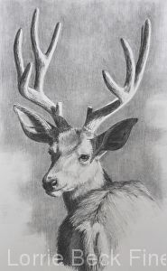 Lorrie Beck - Work Detail: Original Pencil Wildlife Drawing Mule