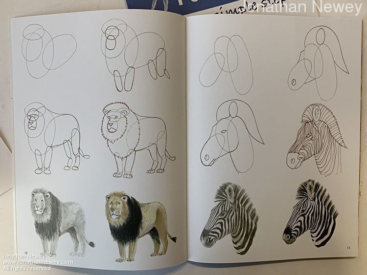 Jonathan Newey - Book - How to Draw African Animals