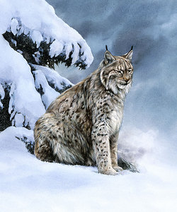 Watercolor Lynx, Lynx Scene 2pk - Swedish Dish Cloth – North
