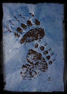 brown bear paw prints