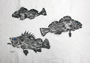Corinne Danzl - Work Detail: Triple Gyotaku Fish Rub on Handmade White  Paper - Unframed Original