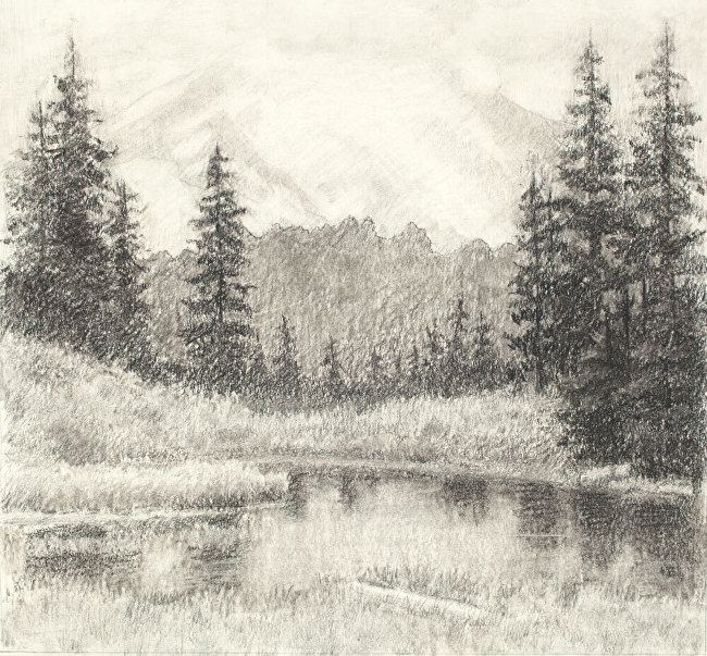 How to Draw a Misty Forest Sample Class — Online Art Lessons