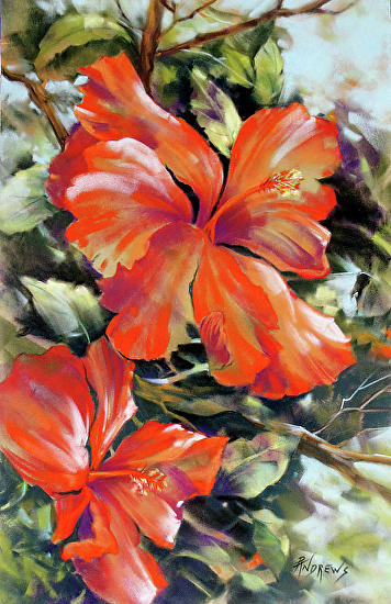 Rae Andrews - Work Zoom: Red Fire Hibiscus..Pastel..Texas Artist..Rae ...