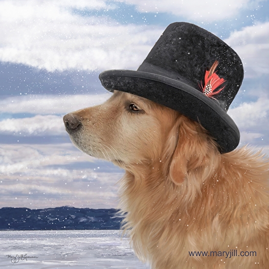 Golden Retriever In A Hat On A Mediterranean Beach Stock Photo