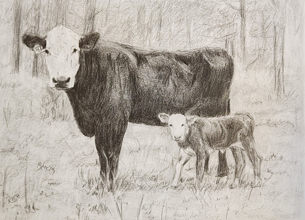 Cow and Calf Coloring Pages - Get Coloring Pages