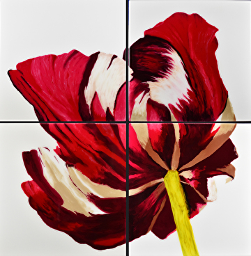 Carol Kaminski - Portfolio of Works: Floral Series