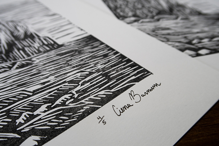 What are linocuts, screenprints, and etchings?